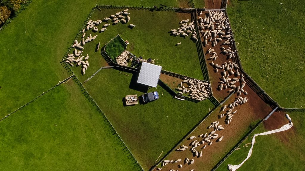 RPAS Drone Operations