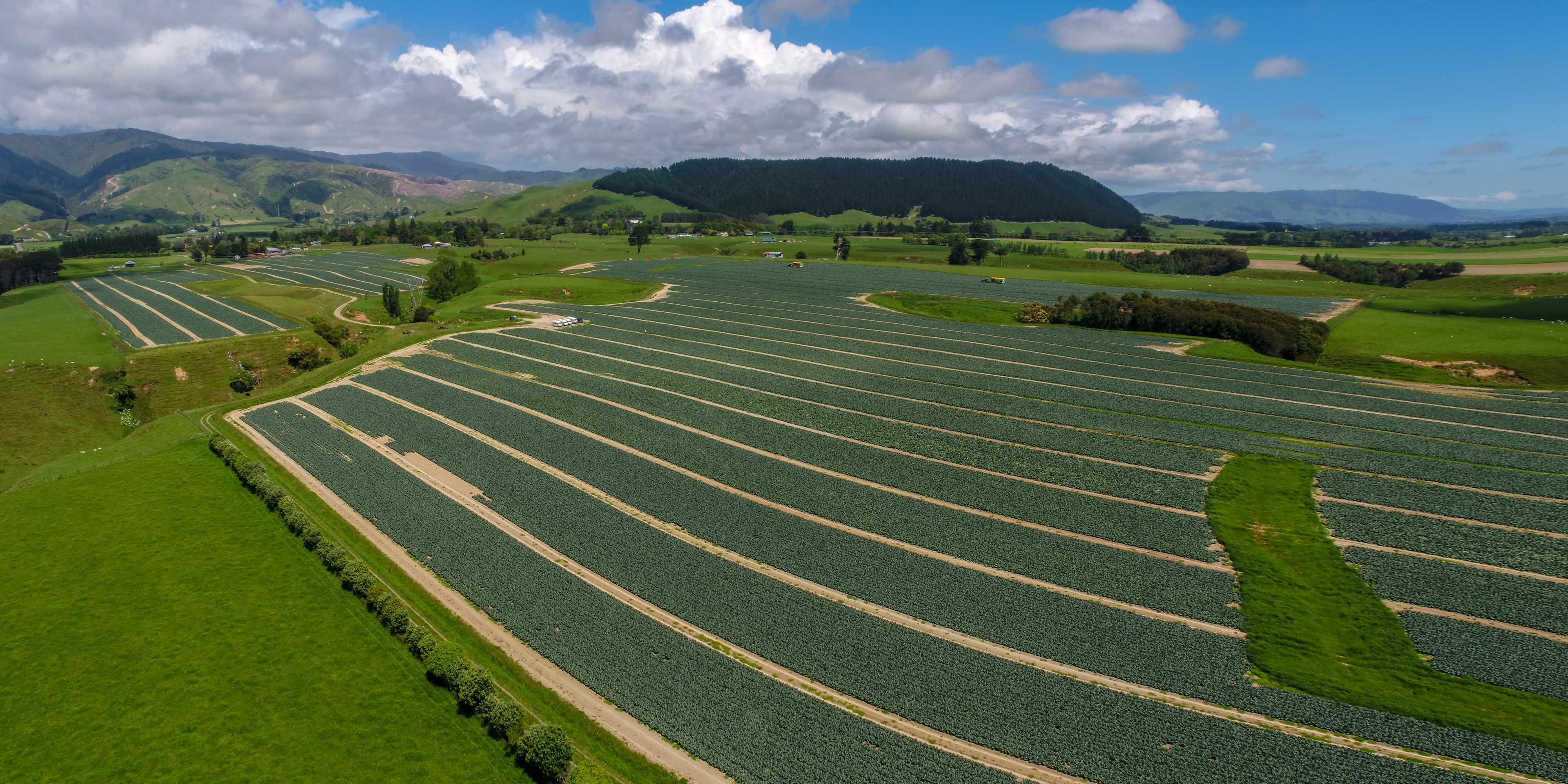 RPAS Drone Operations